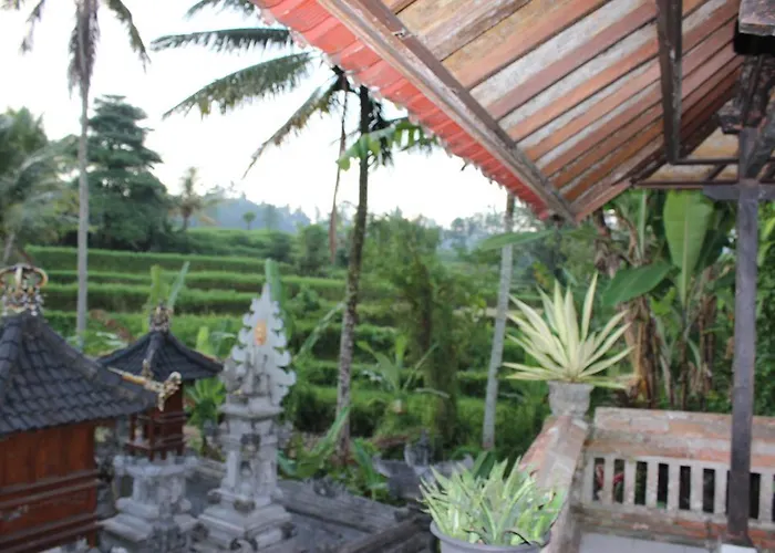 Puri Agung 2* Sidemen (Bali)