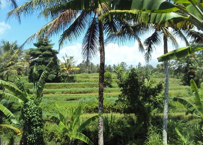Puri Agung